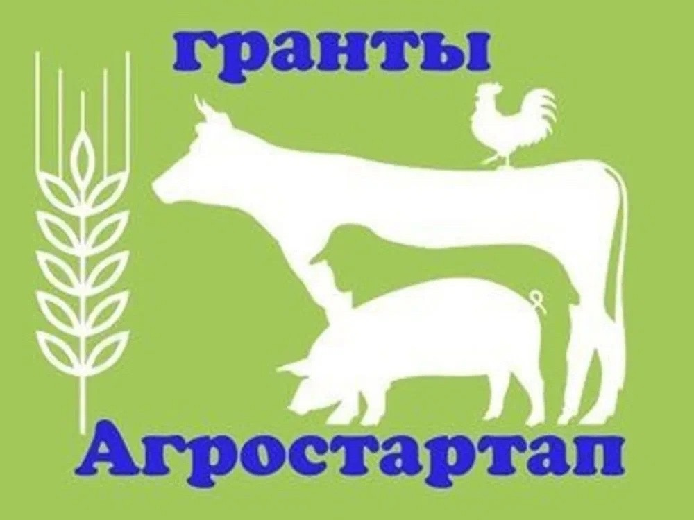Информация  для участия в конкурсе предоставления грантов «Агростартап» в форме субсидий на финансовое обеспечение затрат, связанных с реализацией проекта создания и (или) развития хозяйства.