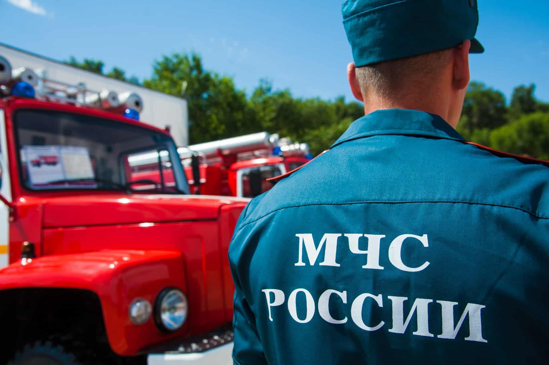 Выбор профессии.