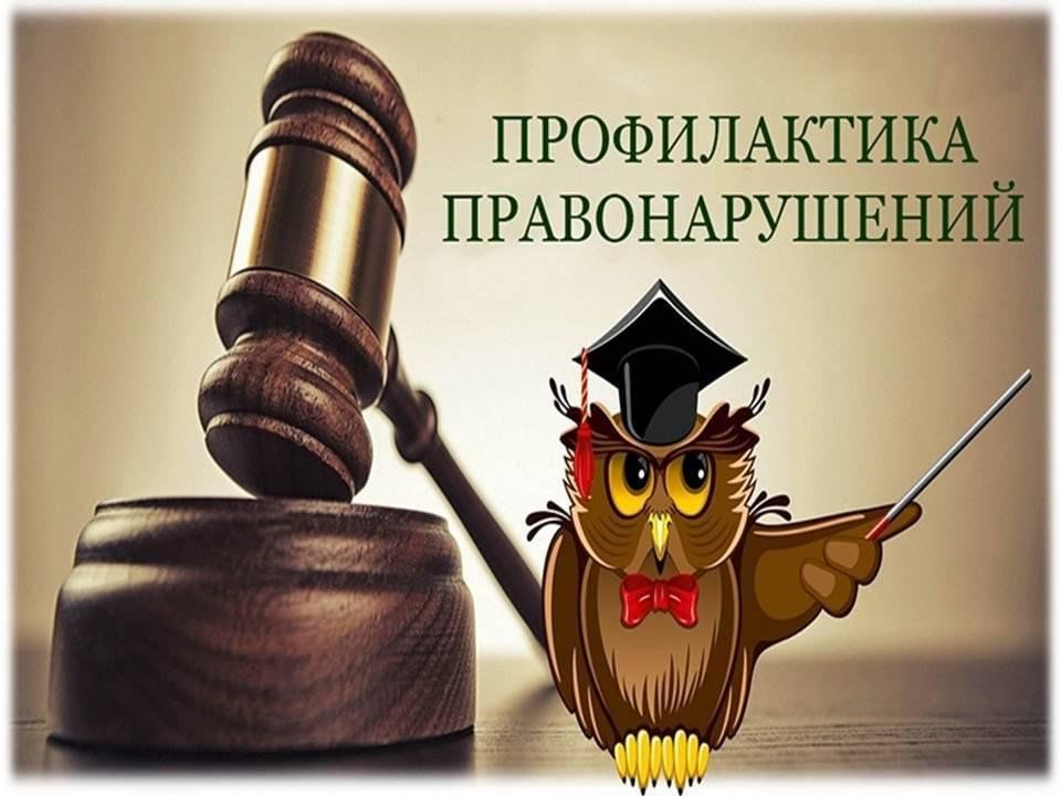 Видеоролики на тему: Профилактика правонарушений и укрепление общественного порядка и общественной безопасности.